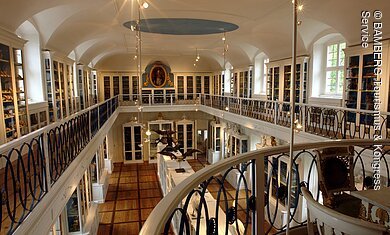 "Vogelsaal" im Naturkundemuseum