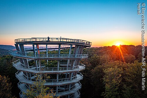 Der Baumwipfelpfad im Steigerwald ist ein beliebtes Ausflugsziel